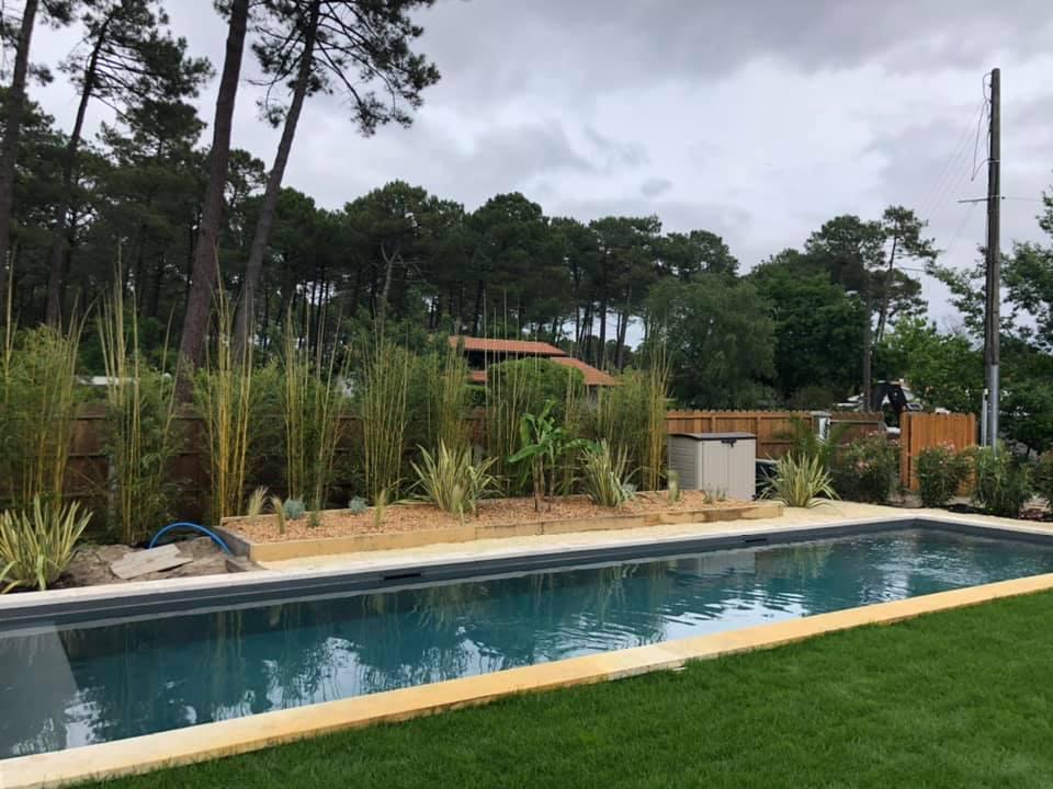 pisicne et jardin