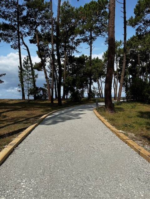 alée de gravat forêt