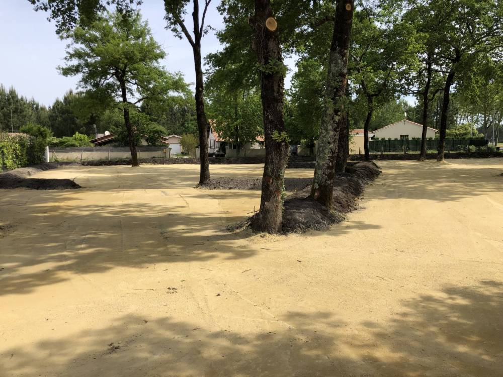 grand parking avec arbres